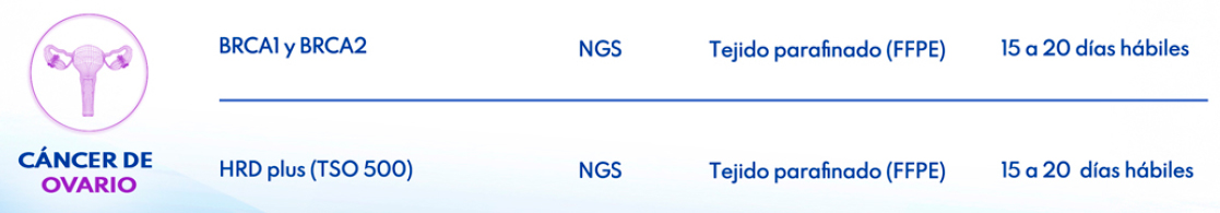 Genética somática cáncer de ovario - FICMAC