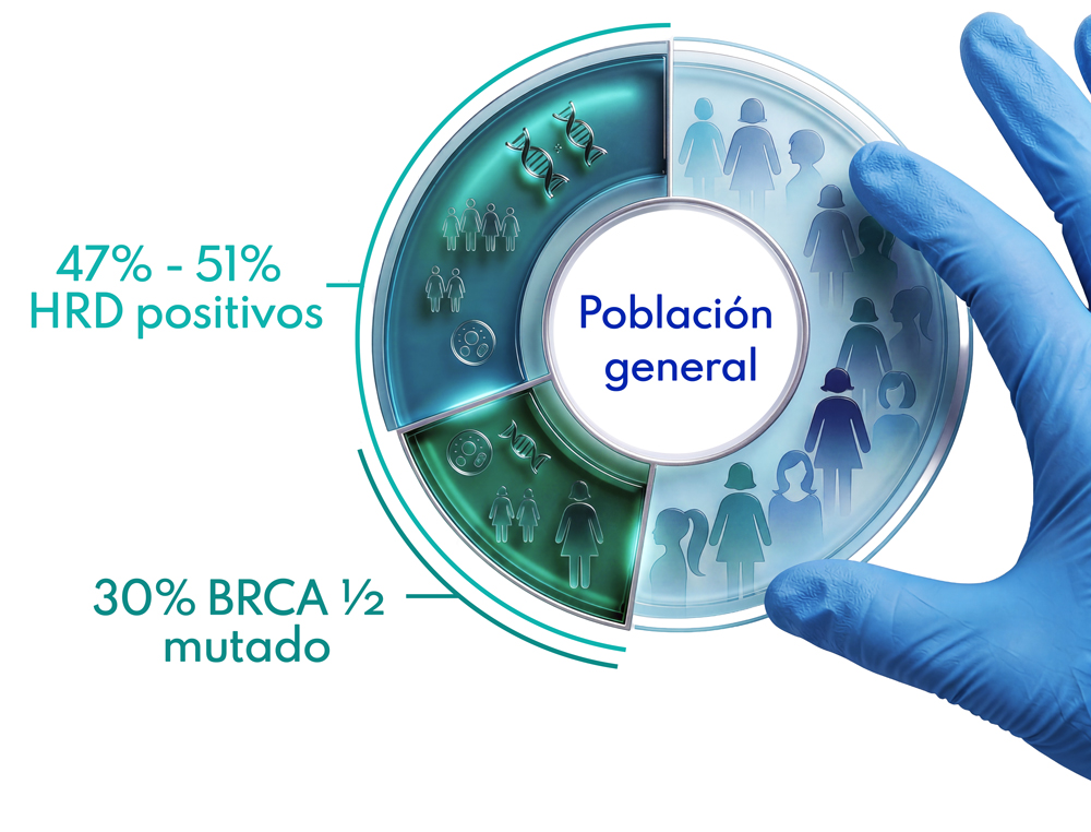 HRD FICMAC