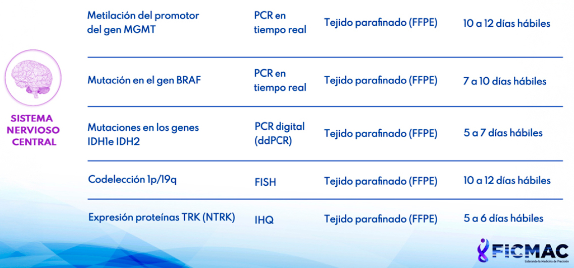 Cáncer del sistema nervioso central - FICMAC